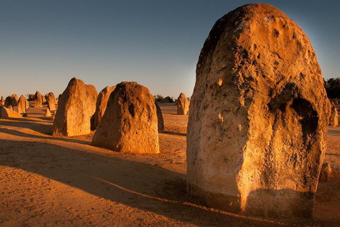 Wave Rock And Pinnacles Air & Ground Tour - Accommodation Adelaide 1