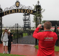 Half-Day Sports Lovers Bus Tour of Melbourne with Tour Options