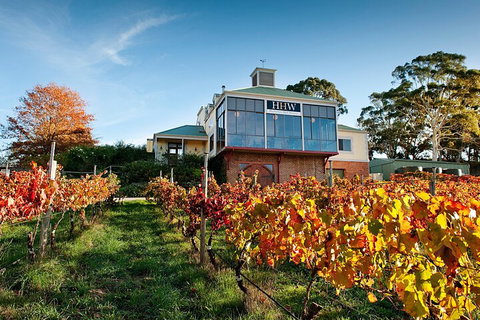Adelaide Hills Food, Wine, Cheese, & Chocolate - Private Day Tour - Accommodation Adelaide 3
