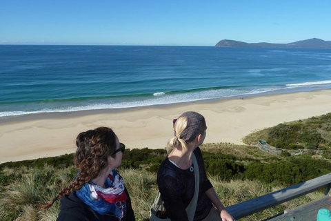 Small-Group Day Trip From Hobart To Bruny Island - Accommodation Adelaide 3