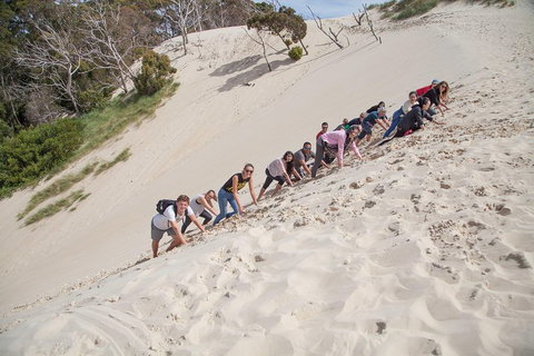 6-Day Tasmanian Explorer Adventure Tour From Hobart - Accommodation Adelaide 2
