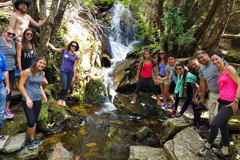 7-Day Super Value Tour Of Tasmania: Explore Tasmania's West And East Coasts - Accommodation Adelaide 2