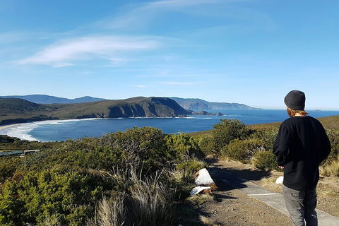 4-Day Fabulous Tasmania Tour: Wineglass Bay, Port Arthur, Devils & Bruny Island - Accommodation Adelaide 0