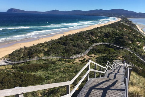 4-Day Fabulous Tasmania Tour: Wineglass Bay, Port Arthur, Devils & Bruny Island - Accommodation Adelaide 5