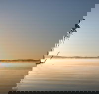 Serenity Cruise to Australia's Everglades - Accommodation Adelaide