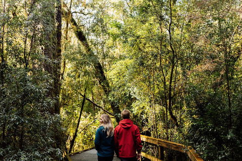 Gordon River Cruise Departing From Strahan - Accommodation Adelaide 2