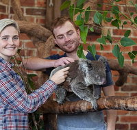 Private Tour Blue Mountains Day Trip from Sydney - Accommodation Adelaide