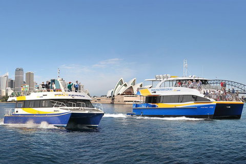 Go City | Sydney Explorer Pass With 20+ Attractions And Tours - Accommodation Adelaide 5