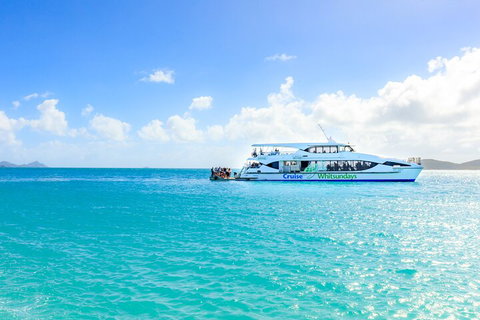 Whitehaven Beach And Daydream Island Cruise - Accommodation Adelaide 2