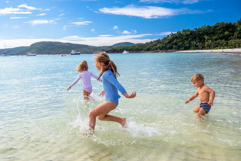 Whitehaven Beach And Daydream Island Cruise - Accommodation Adelaide 3