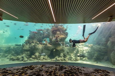 Whitehaven Beach And Daydream Island Cruise - Accommodation Adelaide 4