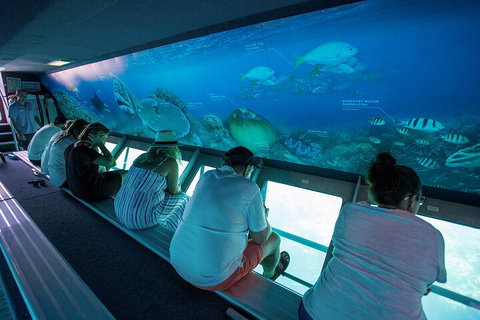 Great Barrier Reef Day Cruise To Reefworld - Accommodation Adelaide 0