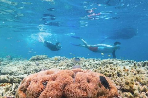 Great Barrier Reef Day Cruise To Reefworld - Accommodation Adelaide 1