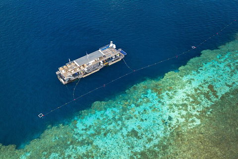 Great Barrier Reef Day Cruise To Reefworld - Accommodation Adelaide 2