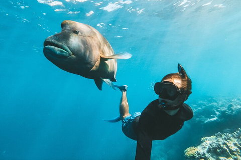 Great Barrier Reef Day Cruise To Reefworld - Accommodation Adelaide 3