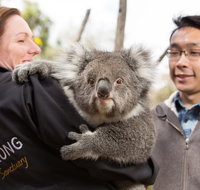 Bonorong Wildlife Park and Richmond Afternoon Tour from Hobart - Accommodation Adelaide