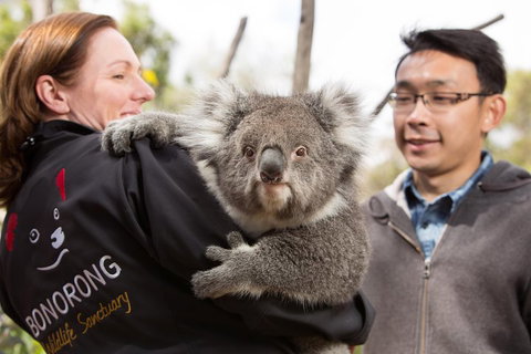 Bonorong Wildlife Park And Richmond Afternoon Tour From Hobart - Accommodation Adelaide 0