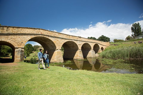 Bonorong Wildlife Park And Richmond Afternoon Tour From Hobart - Accommodation Adelaide 2