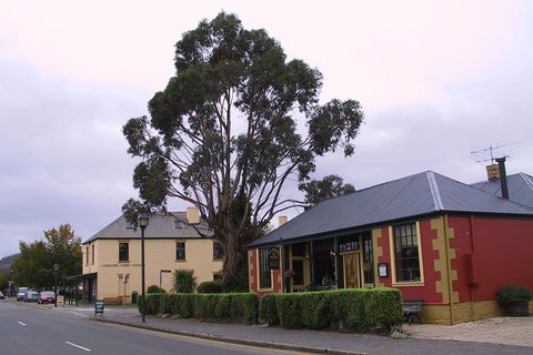 Bonorong Wildlife Park And Richmond Afternoon Tour From Hobart - Accommodation Adelaide 3