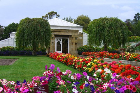 Hobart City Sightseeing Tour Including MONA Admission - Accommodation Adelaide 0