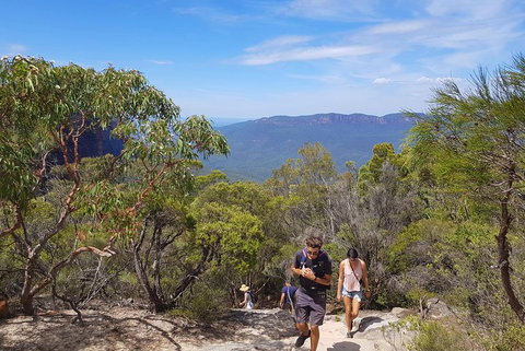 Blue Mountains Unique Small-Group Day Adventure With BBQ Lunch - Accommodation Adelaide 3