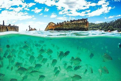 Adventure Moreton Island Day Pass - Accommodation Adelaide 4