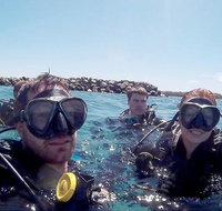 Wave Break Island Scuba Diving on the Gold Coast - Accommodation Adelaide