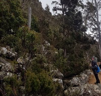 kunanyi / Mt. Wellington Guided Hiking Tour - Accommodation Adelaide