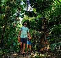 Full Day Daintree Rainforest and Mossman Gorge Tour - Accommodation Adelaide