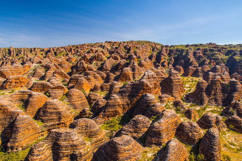 Bungle Bungle Explorer - Accommodation Adelaide 1