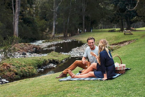 Mt Tamborine - Hinterland Wonders Self Guided - Accommodation Adelaide 0