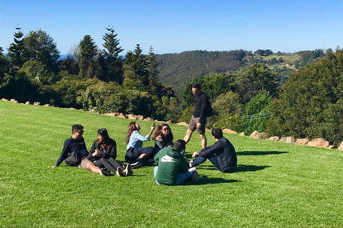 Mt Tamborine - Hinterland Wonders Self Guided - Accommodation Adelaide 1