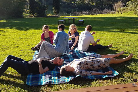 Mt Tamborine - Hinterland Wonders Self Guided - Accommodation Adelaide 2