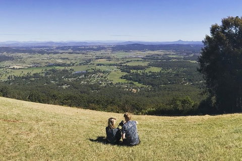 Mt Tamborine - Hinterland Wonders Self Guided - Accommodation Adelaide 4