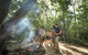Mossman Gorge Adventure Day - thumb 0