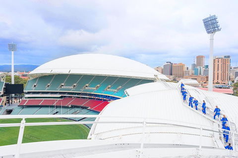 RoofClimb Adelaide Oval Experience - Accommodation Adelaide 4
