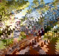 Uluru Small Group Tour including Sunset - Accommodation Adelaide