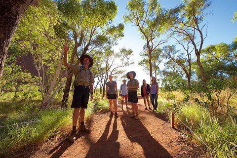 Uluru Small Group Tour Including Sunset - Accommodation Adelaide 0
