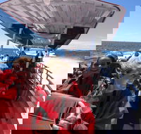 Adventure Rottnest Tour with Ferry  Adventure Cruise from Perth or Fremantle - Accommodation Adelaide