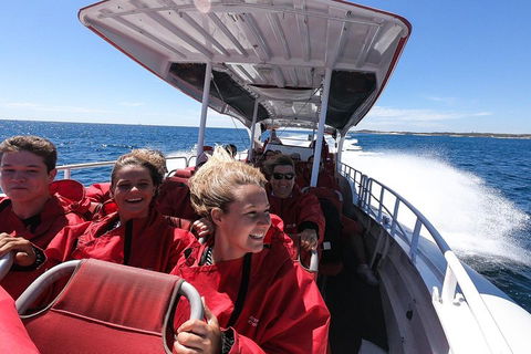 Adventure Rottnest Tour With Ferry & Adventure Cruise From Perth Or Fremantle - Accommodation Adelaide 0
