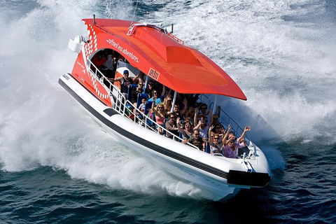 Adventure Rottnest Tour With Ferry & Adventure Cruise From Perth Or Fremantle - Accommodation Adelaide 2