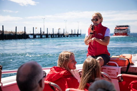 Adventure Rottnest Tour With Ferry & Adventure Cruise From Perth Or Fremantle - Accommodation Adelaide 4