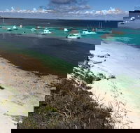 Experience Rottnest with Ferry  Bike Hire from Perth or Fremantle - Accommodation Adelaide