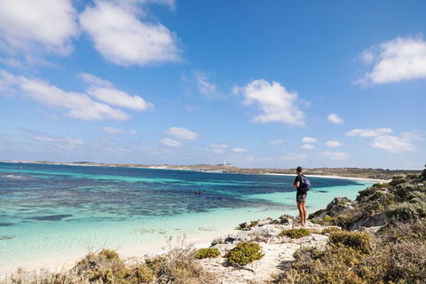 Experience Rottnest With Ferry & Bike Hire From Perth Or Fremantle - Accommodation Adelaide 3