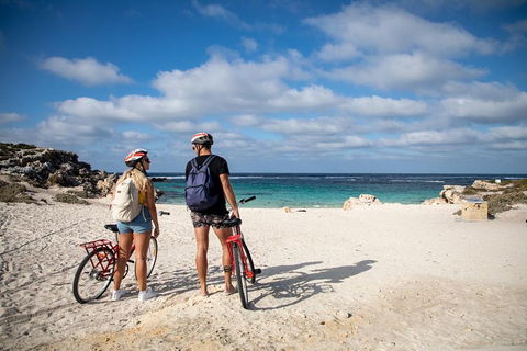 Experience Rottnest With Ferry & Bike Hire From Perth Or Fremantle - Accommodation Adelaide 5