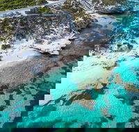 Rottnest Island Round-Trip Ferry from Perth or Fremantle - Accommodation Adelaide