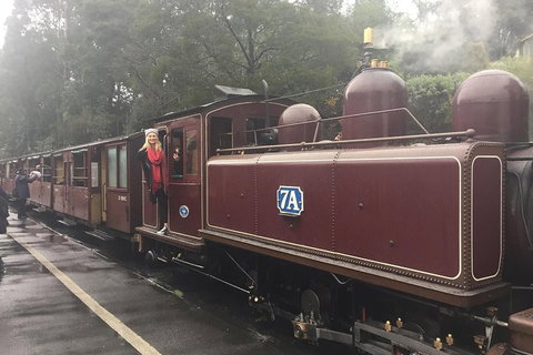 Puffing Billy, Moonlit Sanctuary & Penguins Day Tour - Accommodation Adelaide 4