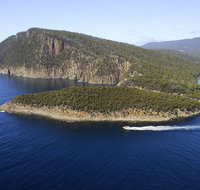 3-Hour Bruny Island Cruise from Adventure Bay Bruny Island - Accommodation Adelaide