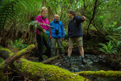 Bruny Island Traveller - Gourmet Tasting And Sightseeing Day Trip From Hobart - Accommodation Adelaide 1