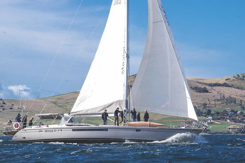 Half-Day Sailing On The Derwent River From Hobart - Accommodation Adelaide 1